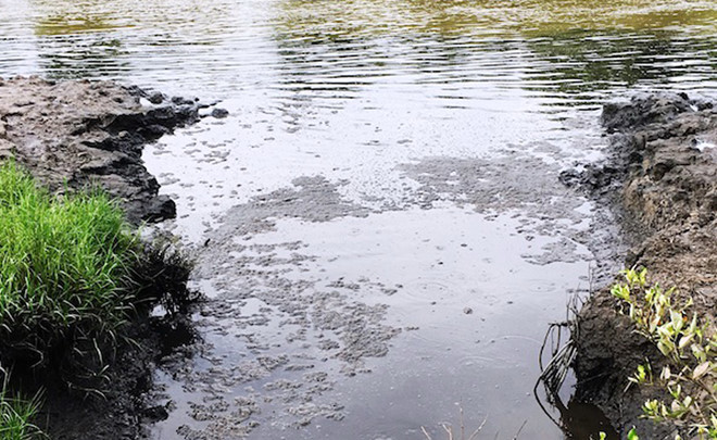 Cà[-]Mau:[-]Xả[-]thải[-]ra[-]môi[-]trường,[-]4[-]đơn[-]vị[-]chế[-]biến[-]thủy[-]sản[-]bị[-]phạt[-]843[-]triệu